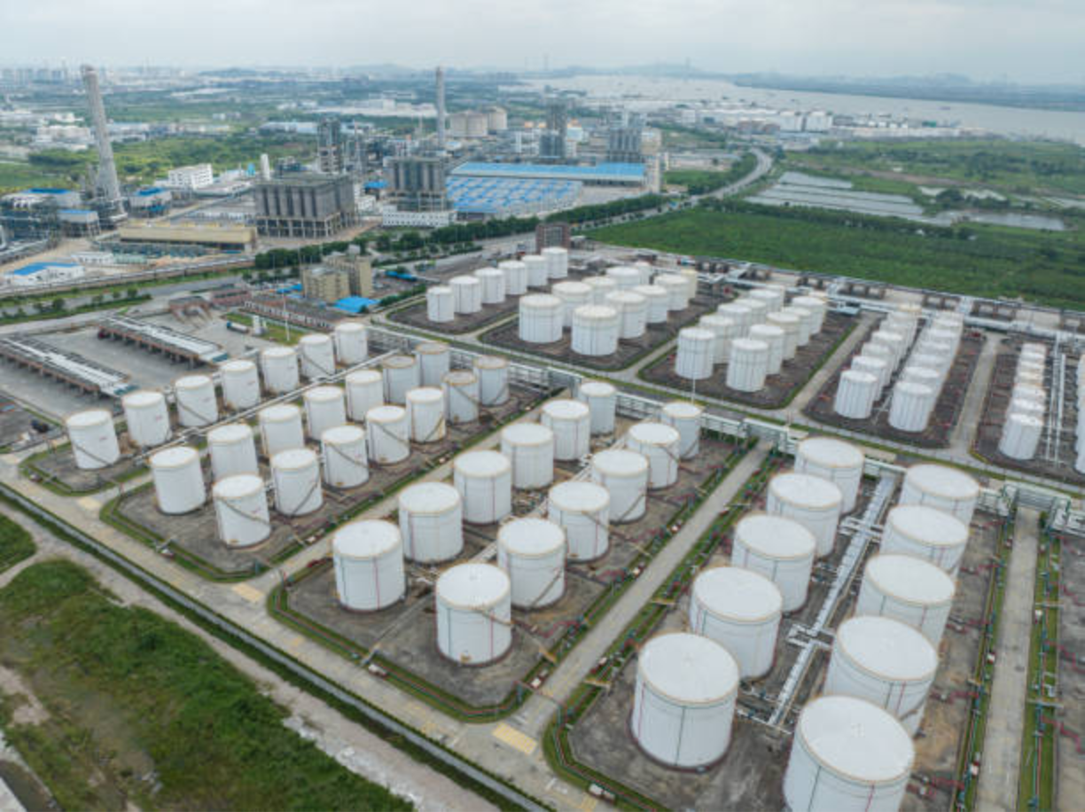 AVDS Global Terminals